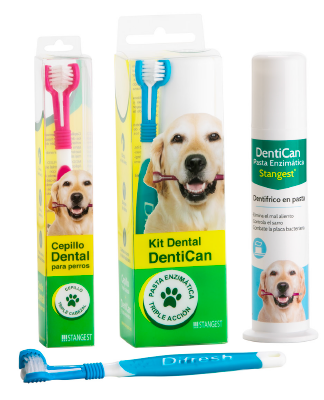 Stangest Kit Dental Dentican con Cepillo y Pasta Stangest Kit Dental Dentican con Cepillo y Pasta