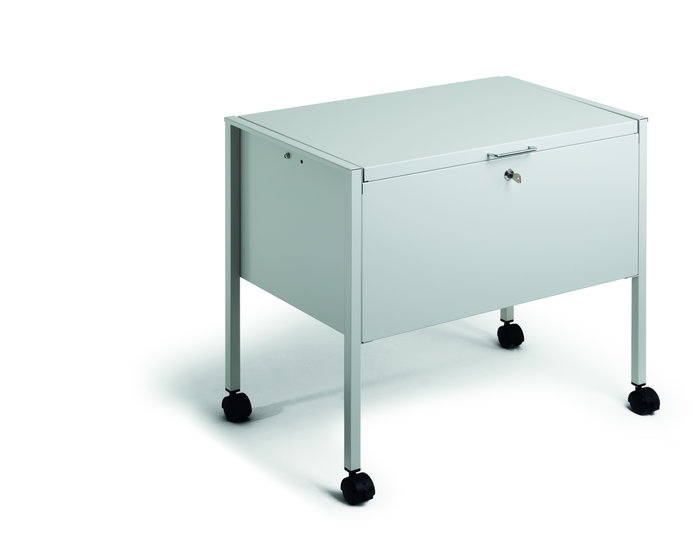 Durable 309810 Archivador Organizador para Carpetas Colgantes A4, Acero, Gris