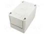 SPELSBERG TK PC 1811-11-O Carcasa Universal Gris IP66