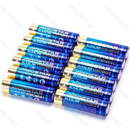 Aigostar Pack de 12 Pilas Alcalinas LR6 (AA) 1.5V