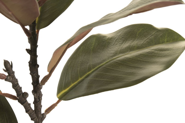 DKD Home Decor Rama de Ficus Verde Oscuro PE 22x22x56 cm