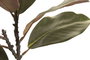 DKD Home Decor Rama de Ficus Verde Oscuro PE 22x22x56 cm