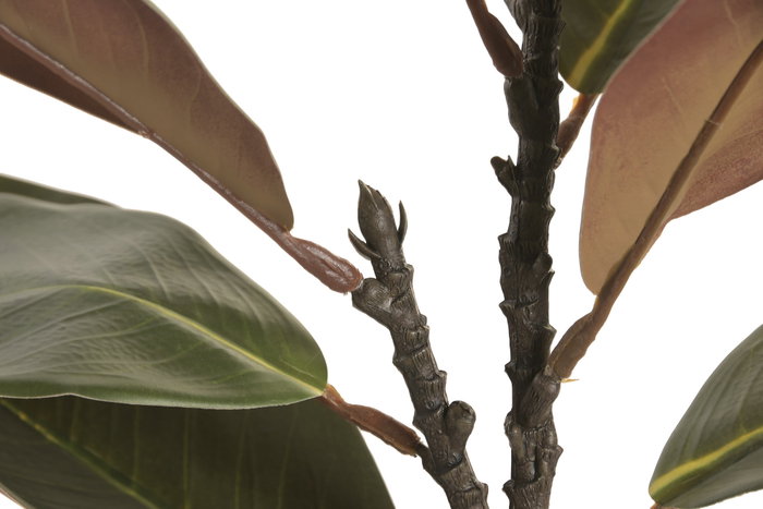 DKD Home Decor Rama de Ficus Verde Oscuro PE 22x22x56 cm