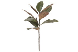 DKD Home Decor Rama de Ficus Verde Oscuro PE 22x22x56 cm