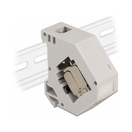 DeLOCK Adaptador de carril DIN con módulo Keystone RJ45 hembra Cat.6A LSA