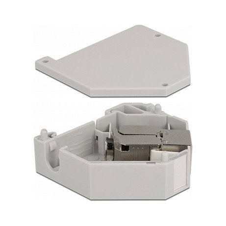 DeLOCK Adaptador de carril DIN con módulo Keystone RJ45 hembra Cat.6A LSA, Gris, metal/plástico, 1 pieza DeLOCK Adaptador de carril DIN con módulo Keystone RJ45 hembra Cat.6A LSA, Gris, metal/plástico, 1 pieza