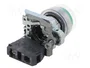 SCHNEIDER ELECTRIC XB4BP31 Interruptor de presión 22mm NA Verde