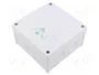 SPELSBERG ABOX Caja de conexiones blanca IP66