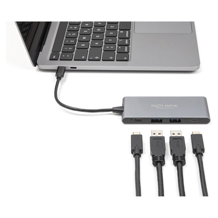 DeLOCK Hub USB 64111 con 2 puertos USB Tipo-A y 2 puertos USB Tipo-C 10 Gbps, Gris