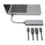 DeLOCK Hub USB 64111 con 2 puertos USB Tipo-A y 2 puertos USB Tipo-C 10 Gbps, Gris
