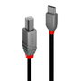 Lindy Cable USB 2.0 Tipo C a Tipo B 0.5 m Antracita