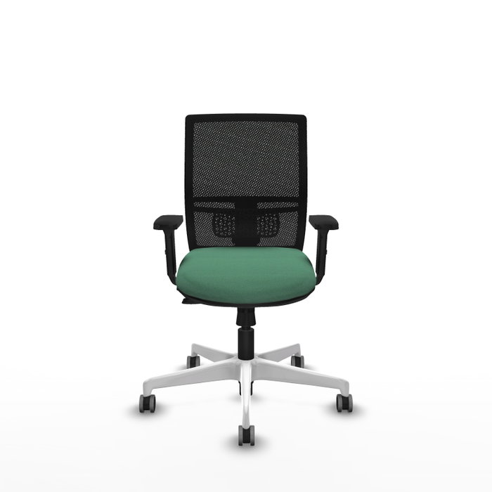 PIQUERAS Y CRESPO Silla de oficina Yunquera con mecanismo Sincro/Traslack, Verde esmeralda y Negro PIQUERAS Y CRESPO Silla de oficina Yunquera con mecanismo Sincro/Traslack, Verde esmeralda y Negro