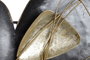 DKD Home Decor Decoración de Pared Metal Abstracto Negro y Dorado