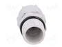 BM GROUP Sello aislante PG11 gris
