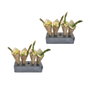 OMS Supizarra Portabrochetas y Conos 15x6 cm (Set de 2)