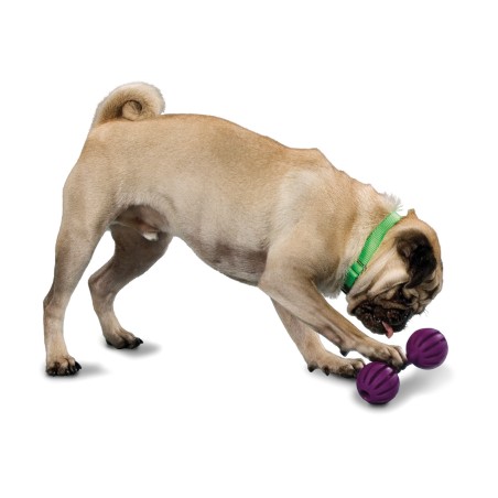 Nayeco Busy Buddy Waggle M-L