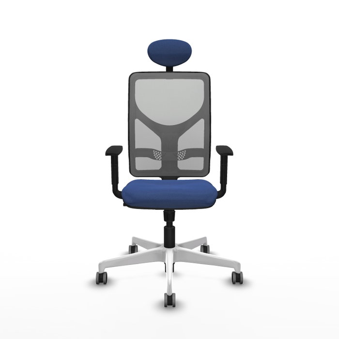 PIQUERAS Y CRESPO Silla de oficina Motilla con mecanismo Sincro, Azul marino y Gris PIQUERAS Y CRESPO Silla de oficina Motilla con mecanismo Sincro, Azul marino y Gris