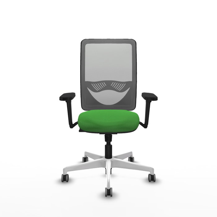 PIQUERAS Y CRESPO Silla de oficina Zulema con Mecanismo Sincro, Verde y Gris PIQUERAS Y CRESPO Silla de oficina Zulema con Mecanismo Sincro, Verde y Gris
