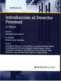 ARANZADI, INTRODUCCION AL DERECHO PROCESAL 2024 12ªED - MANUALES UNIVERSITARIOS