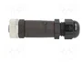 LAPP Conector M12 Hembra 5 Pines Angular IP67