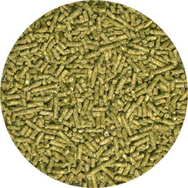 ZooMed Comida para Iguana Joven Pellet Semi Húmedo 283g