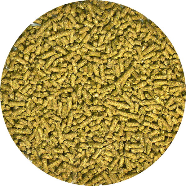 ZooMed Comida para Iguana Joven Pellet Semi Húmedo 283g