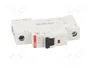 ABB S201-K16 Disyuntor Compacto 16A 1-polig GH