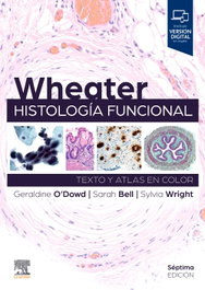 ELSEVIER EDITORIAL Wheater Histologia Funcional 7ª Ed