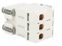 LEGRAND FR300 Interruptor de Aislamiento 3 Polos 100A 400VAC