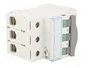 LEGRAND FR300 Interruptor de Aislamiento 3 Polos 100A 400VAC