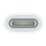 Apple Adaptador USB-C a Apple Pencil Blanco