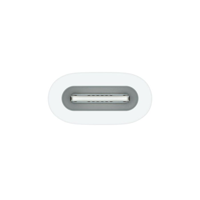 Apple Adaptador de USB-C para Apple Pencil (1.ª generación) - Carga y Emparejamiento para iPad con puerto USB-C (10.ª generación, modelo A16)