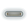Apple MWML3ZM/A Adaptador USB-C a USB para Apple Pencil Blanco