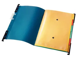 Leitz Divide-It-Up Carpeta Colgante Din A4 con Visor Rígido y Ganchos Móviles - Azul