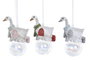 DKD Home Decor Decoración Colgante de Resina 6x4x8,5 cm - Motivo Oca Surtida