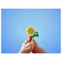 LEGO Friends 42671 Cafetería Botánica y Floristería, Juego de Construcción 1138 Piezas, Multicolor