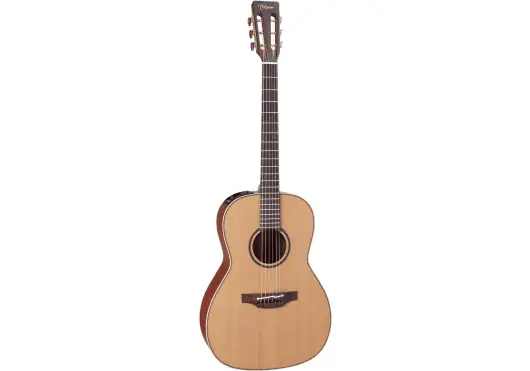 TAKAMINE New Yorker Electro TAKAMINE New Yorker Electro