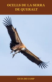 L'ALBI, Ocells de la serra de Queralt