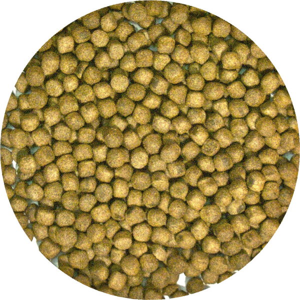 ZooMed Alimento Completo para Tortuga Acuática de Mantenimiento 184g