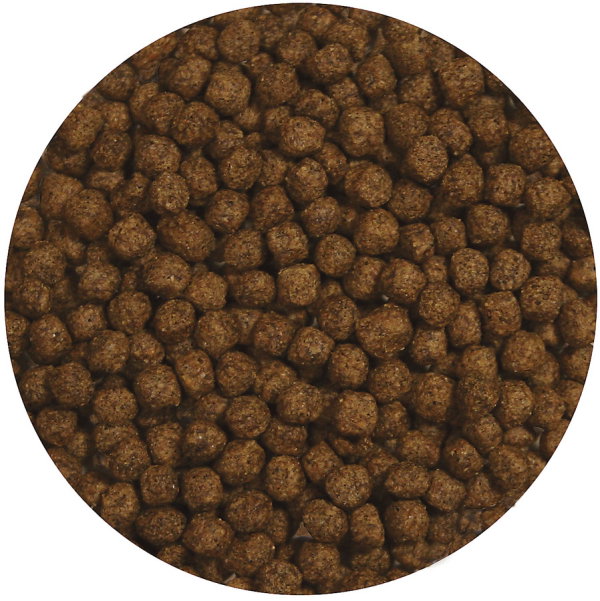 ZooMed Alimento Completo para Tortuga Acuática de Mantenimiento 184g