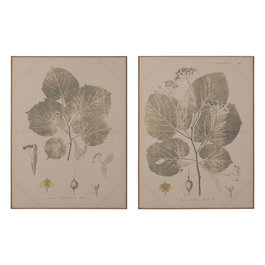 Cuadro Impresión Hojas 2/M Dm-Madera 60 X 3 X 80 cm (Set de 2)