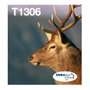 Epson Multipack de tinta T1306 Cian, Magenta y Amarillo