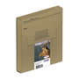 Epson T1306 C13T13064510 Pack de 3 Cartuchos de Tinta DURABrite Ultra, Color C/M/Y, XL, 10.1 ml, para Serie WorkForce y Stylus