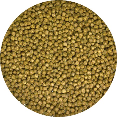 ZooMed Alimento Tortuga Acuatica Growth para Crecimiento 369 gr