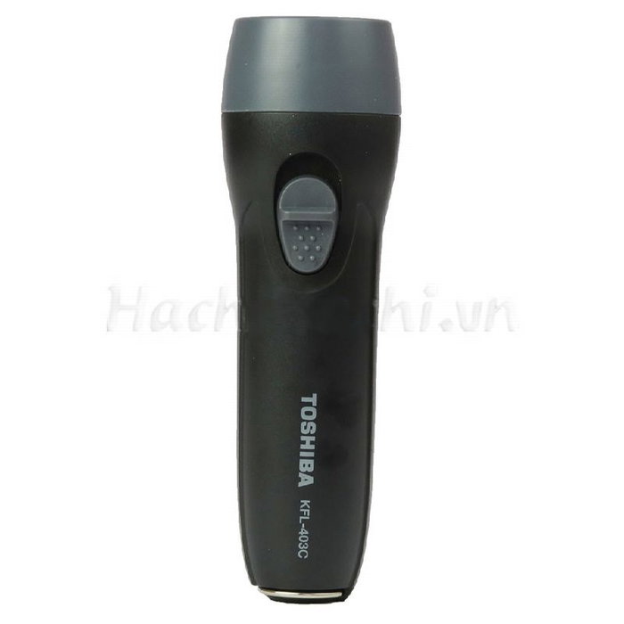 Toshiba Pack 80 Pilas Alcalinas AA y AAA con Linterna Negra de Regalo - Promoción