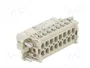 WIELAND Conector HDC hembra 16 pines 16A
