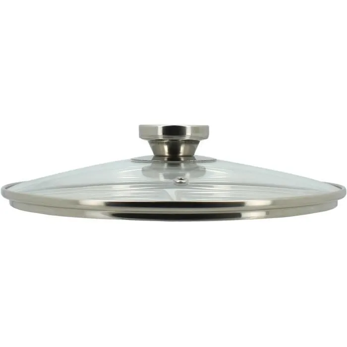 Menastyl 4615455 Olla con tapa de Acero Inoxidable, 9 Litros, para Todo tipo de Fuegos incluida Inducción