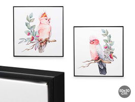 Giftdecor Cuadro Lienzo Marco Negro Pajaros Surtidos 50x50x3 cm (Set de 4)