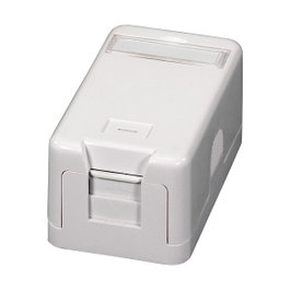 EFB Elektronik Keystone Verteilerbox Aufputz, 1-Port, Blanco