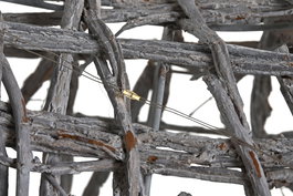 DKD Home Decor Reno Navidad Alpina Mimbre y Led Blanco 19 x 90 x 53 cm